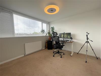 Picture 14